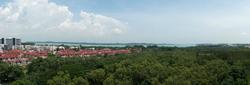 Blk 505 Pasir Ris Street 52 (Pasir Ris), HDB Executive #133114972